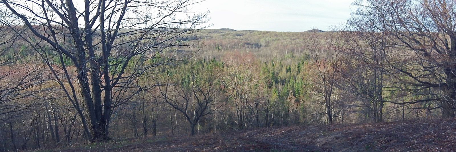 overlook near the pinney bridge campground